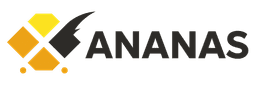Ananas.et Logo